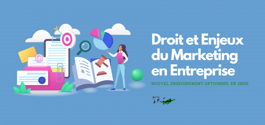 L’option Droit et Enjeux du Marketing en Entreprise