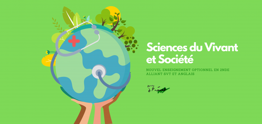 L’option Sciences du Vivant et Société