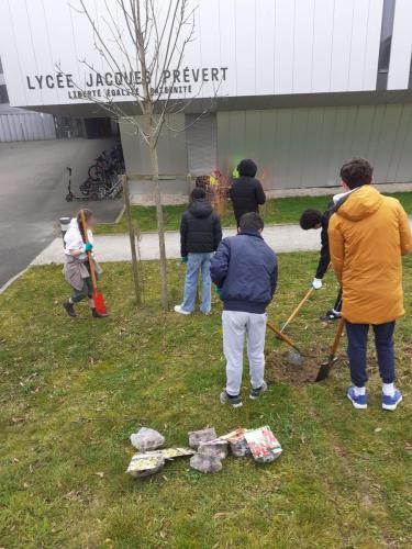 Les éco-délégués préparent les plantations de la cour avant.