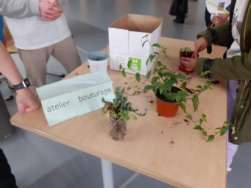 L'atelier bouturage proposé par les éco-délégués lors des portes ouvertes.