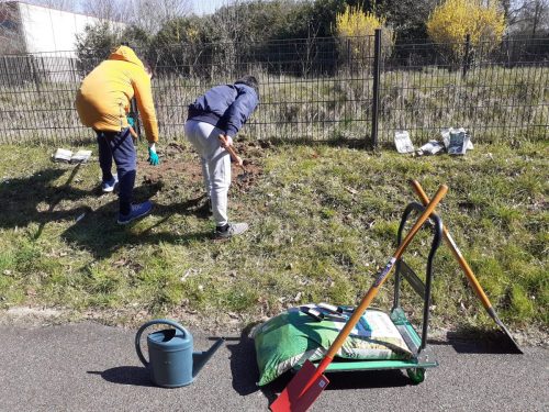 Plantation du muguet par les éco-délégués le 18 mars 2025